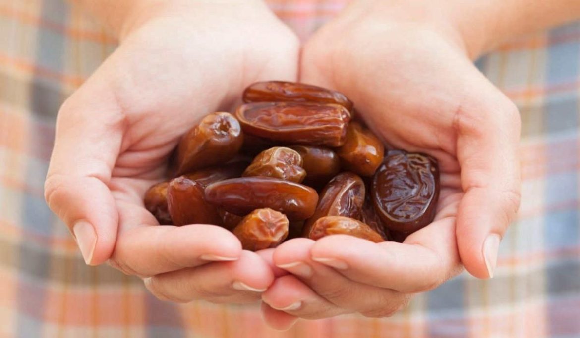 Mazafati dates wholesale price in USA