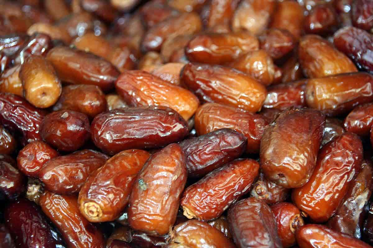  Kabkab dates of Iran Specifications + Purchase Price 