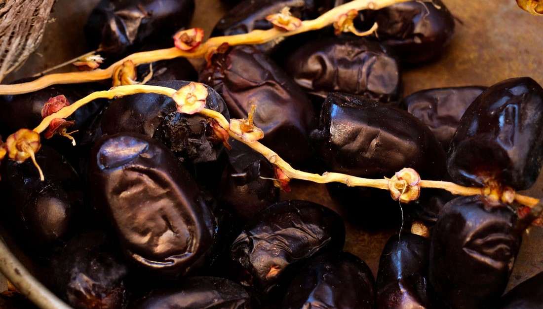  Buy Mazafati Kimia dates Types + Price 