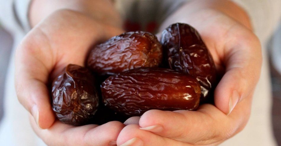  Buy Rabbi dates Iran + great price 