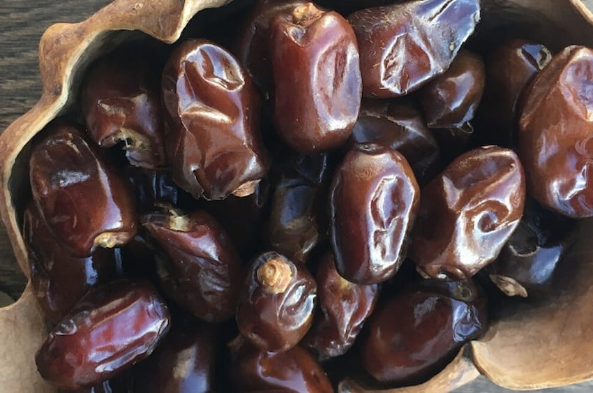  The purchase price of Rabbi Dates in Pakistan + properties, disadvantages and advantages 