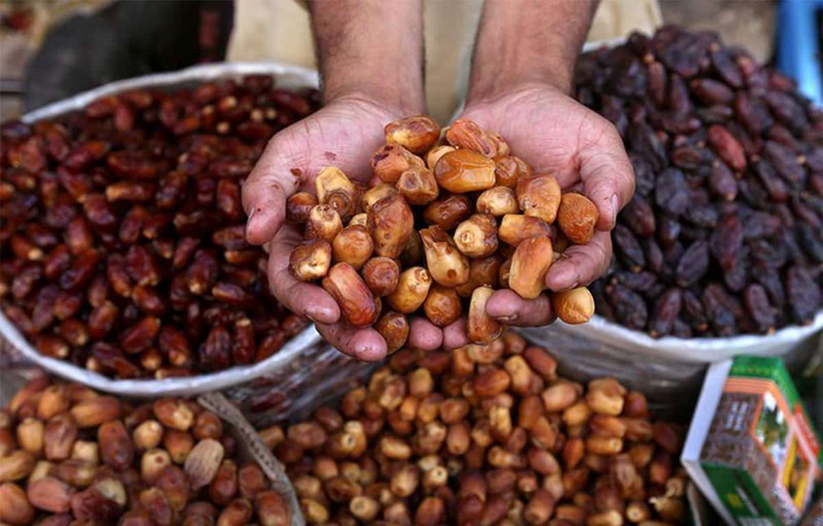  Introduction of khajur dates types + purchase price of the day 