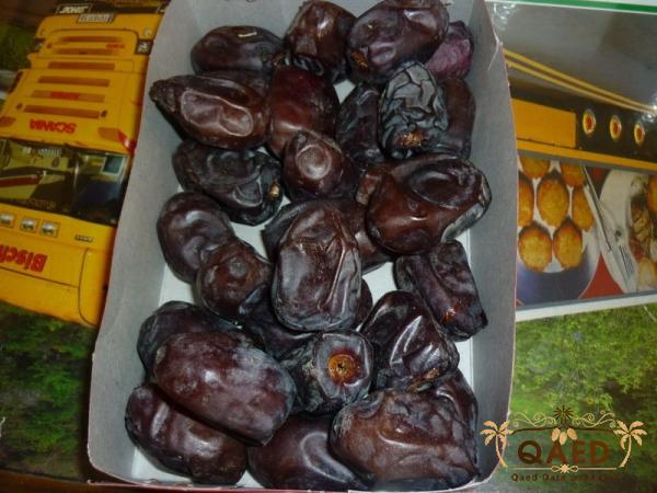 Mazafati Dates Fruit for Sale