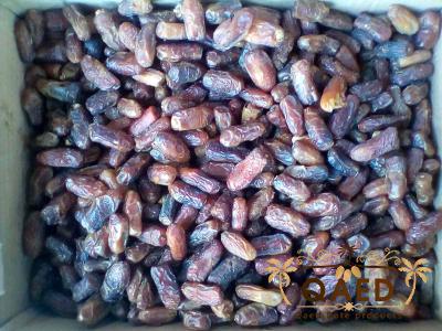 Price and purchase dried black date with complete specifications