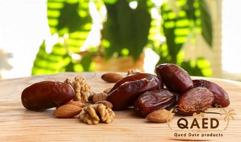 Price and purchase deglet noor dates algeria with complete specifications