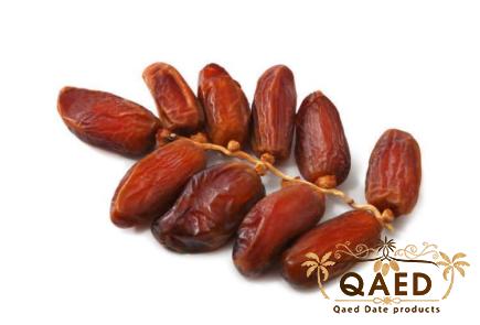 medjool dates online with complete explanations and familiarization